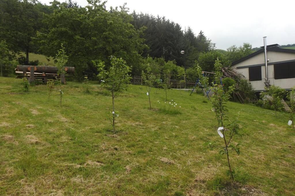 Bergblick Apartman Medebach Kültér fotó