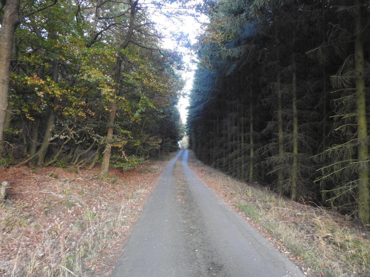 Bergblick Apartman Medebach Kültér fotó